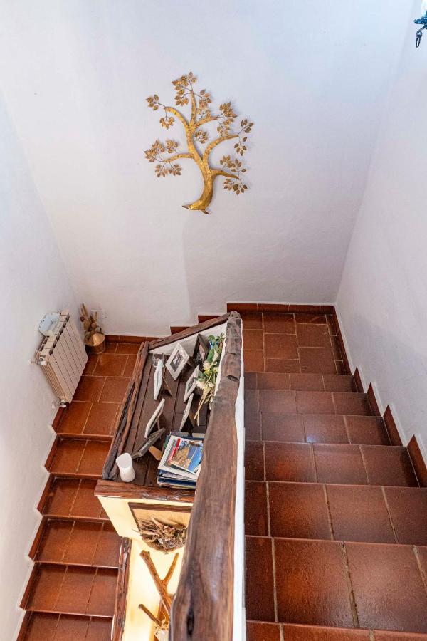 Sa Domu Sarda Suites - Bed & Breakfast Porto Columbu - Perd'E Sali Dış mekan fotoğraf